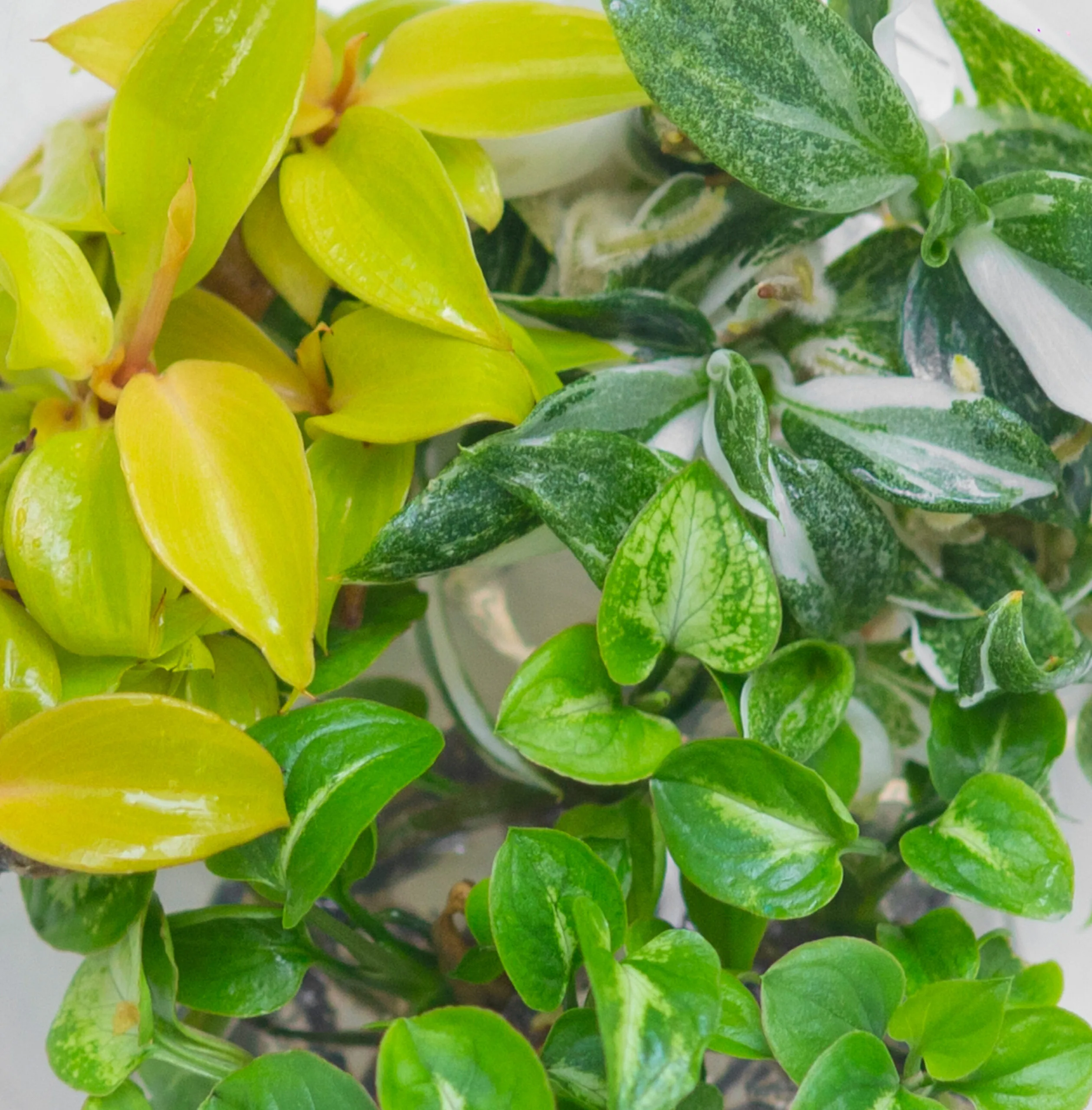 Contact Us - Eco-Serene Biotech