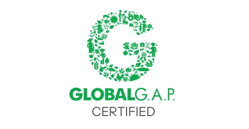 Global G.A.P. Certified