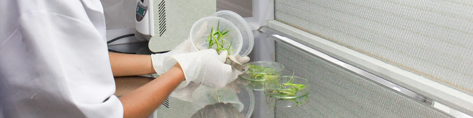Contract Production - Eco-Serene Biotech